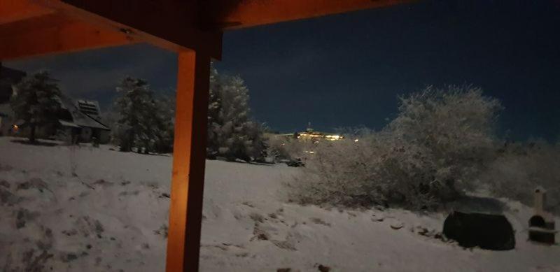 Holzblockhaus Magdalena Villa Altenberg  Dış mekan fotoğraf
