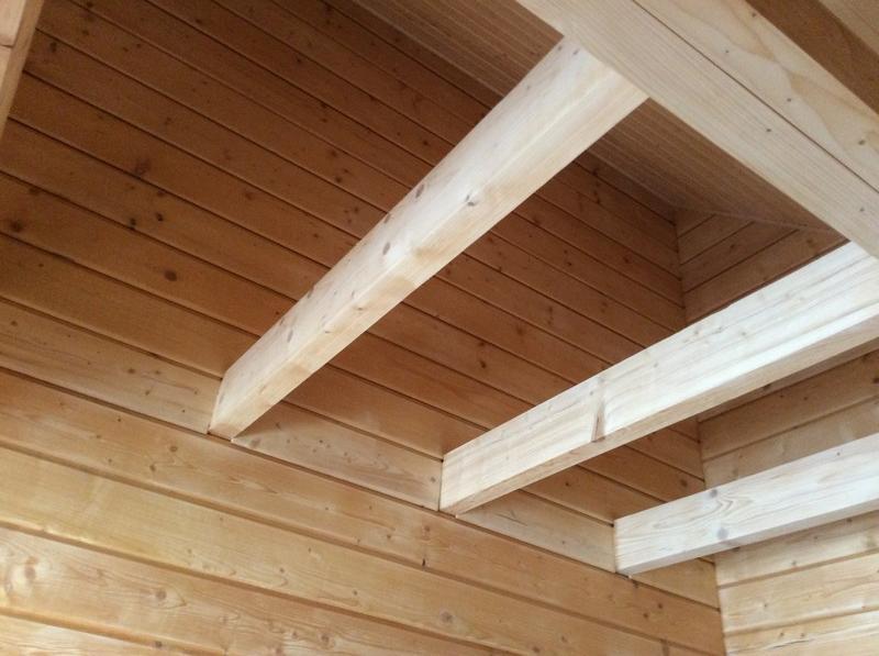 Holzblockhaus Magdalena Villa Altenberg  Dış mekan fotoğraf